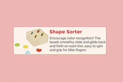 Montessori Educational Box (9-10 Months)