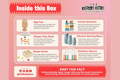 Montessori Educational Box (9-10 Months)