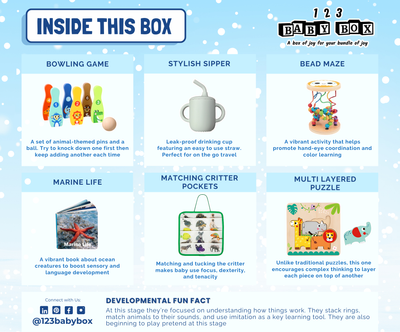 Montessori Educational Box (19-21 Months)