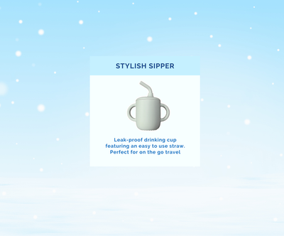 Montessori Educational Box (19-21 Months)