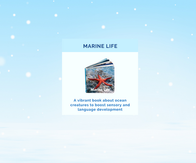 Montessori Educational Box (19-21 Months)