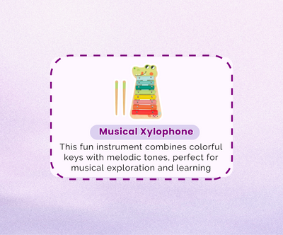 Montessori Educational Box (11-12 months)