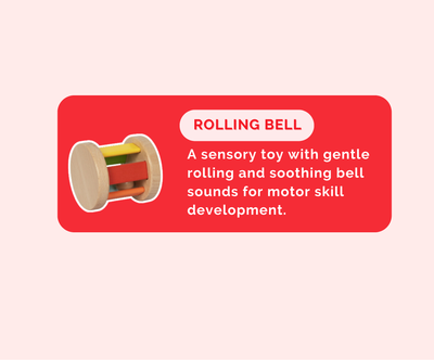 Montessori Educational Box (3-4 Months)