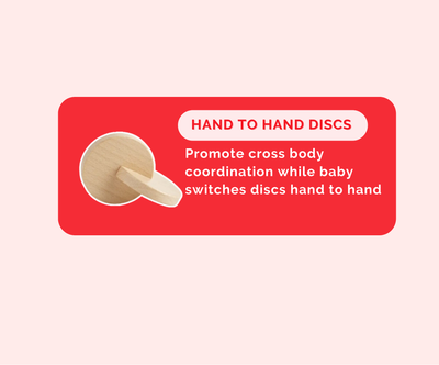 Montessori Educational Box (3-4 Months)