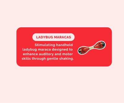 Montessori Educational Box (3-4 Months)