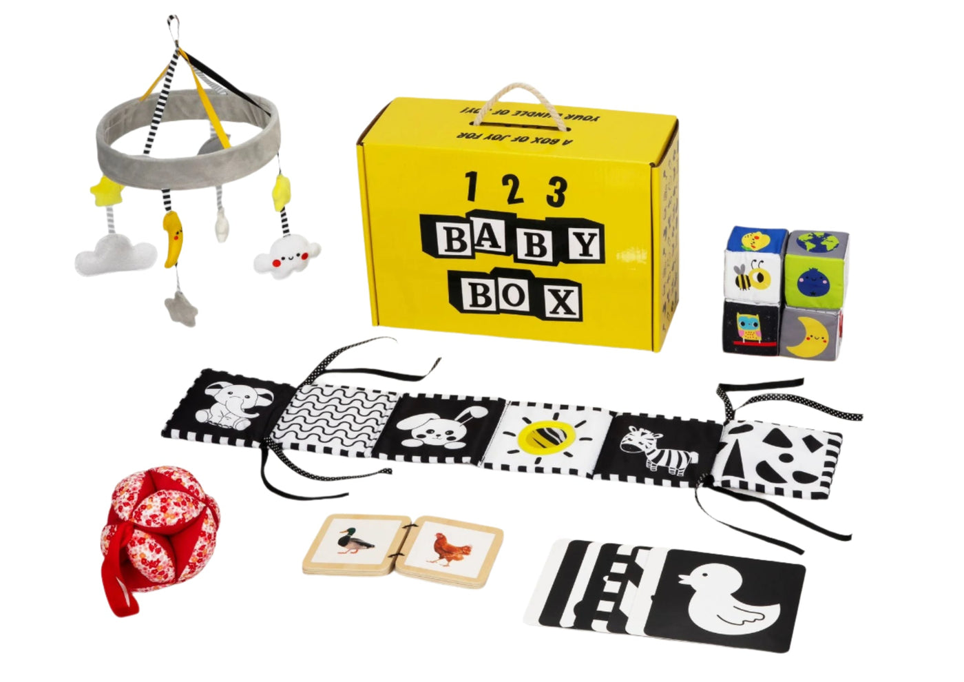 Montessori Educational Box (0-2 Months)