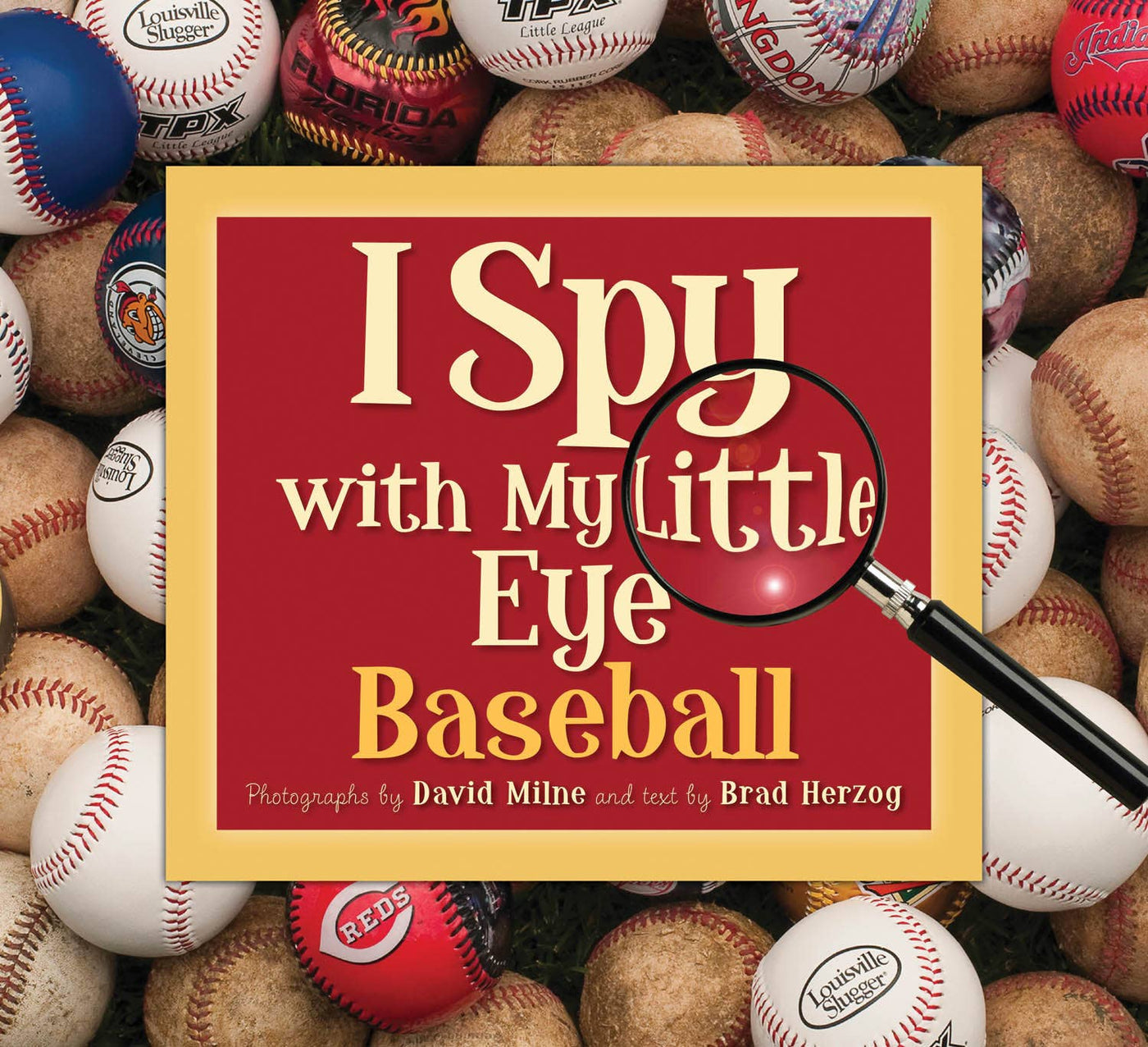 I Spy with My Little Eye: Baseball