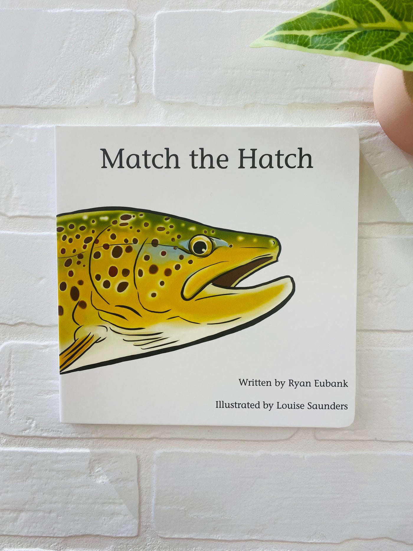 Match the hatch